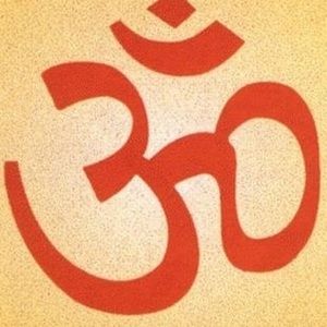 Meet your Posher, Borrelle